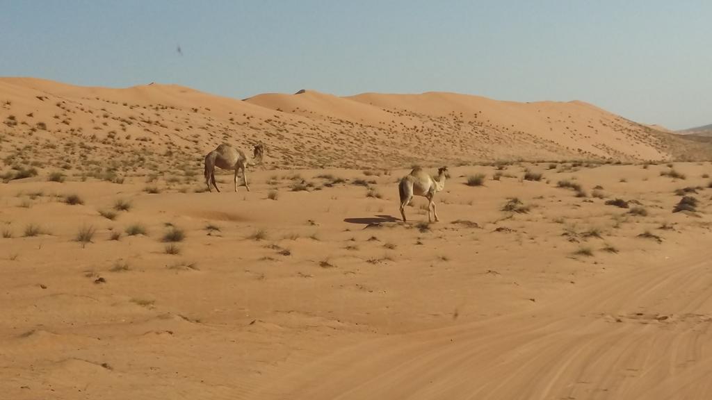 Silent Dunes Camp Hawiyah Экстерьер фото